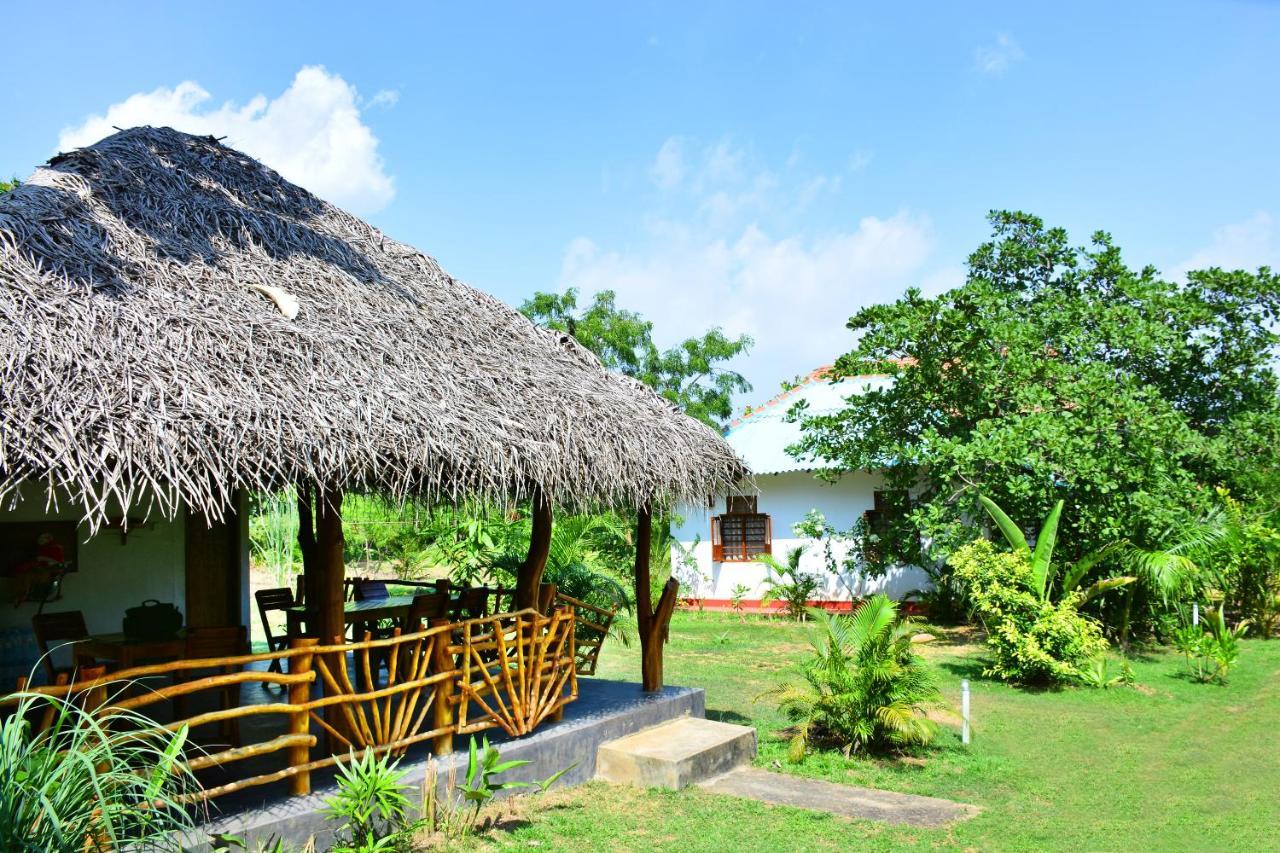 Sea Sound Cabana & Restaurant Tangalle Exteriör bild